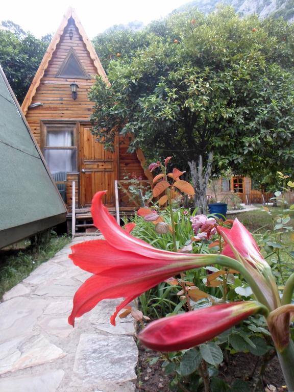 Oran Pansiyon Agac Evler Hotel Çıralı Eksteriør billede